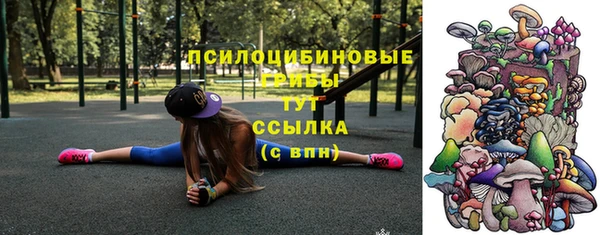 первитин Лабытнанги