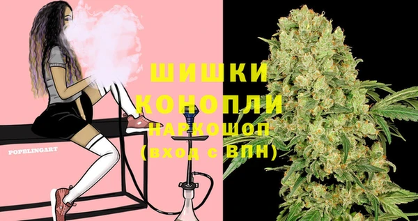 бошки Лагань